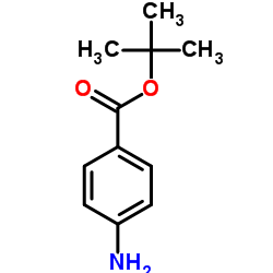 CAS:18144-47-3|Tert-Butyl 4-aminobenzoate