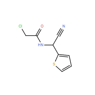 CAS 263137-41-3|2-כלורו-N-(-ציאנו-2-תניל)אצטמיד
