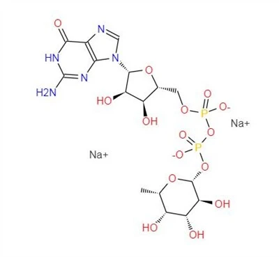 CAS:15839-70-0丨Guanosine 5'-diphospho- -L-fucose